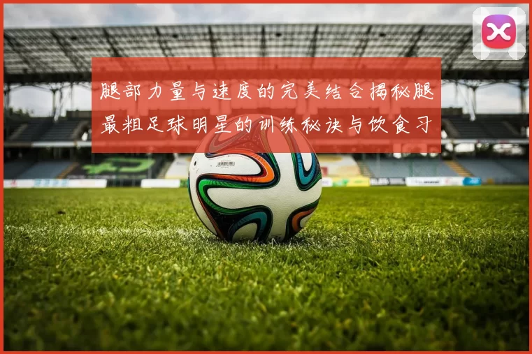 腿部力量与速度的完美结合揭秘腿最粗足球明星的训练秘诀与饮食习惯